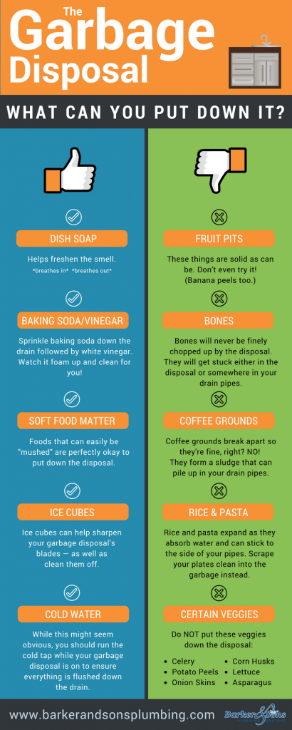 what can you put down your garbage disposal?
