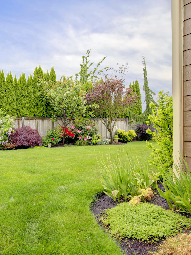 Backyard of house with trenchless sewer line repairs