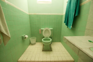 image of green toilet and bathroom tiled with green and white.