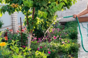 A person uses a hose to water the base of a tree, surrounded by colorful flowers and green plants, preserving the lush landscape.